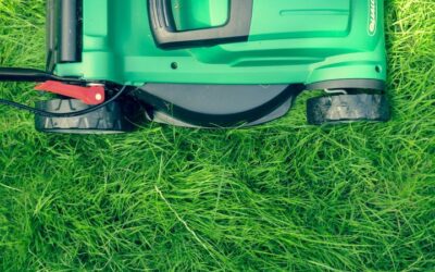 Essential Lawn Care Tips: Secrets to a Lush and Healthy Lawn